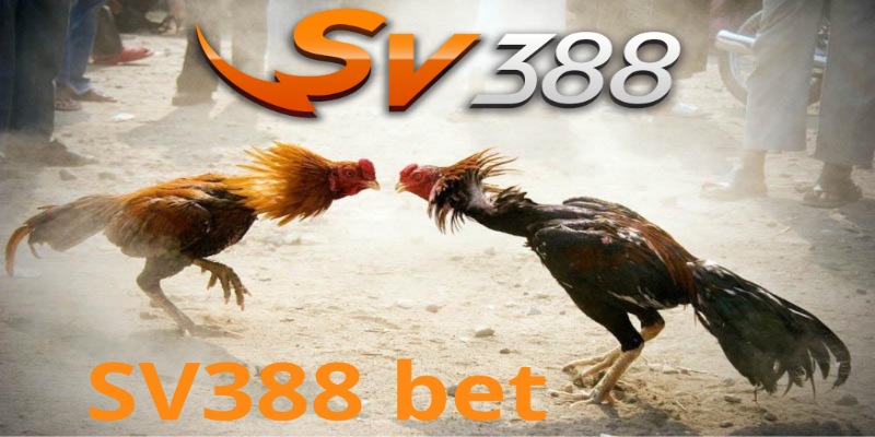 doi dieu ve san cuoc sv388bet